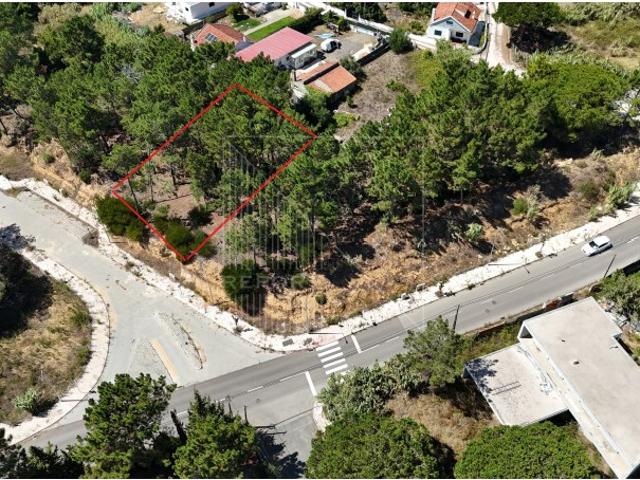 Terreno em Sintra com vista para Palácio da Pena