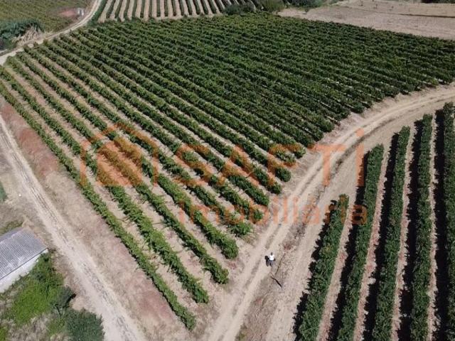 Terreno com PIP Aprovado para 6 Moradias | Turcifal, Torres Vedras