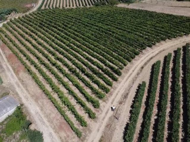 Terreno com PIP Aprovado para 6 Moradias | Turcifal, Torres Vedras