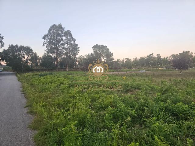 Terreno com PIP aprovado para construção de moradias em Santa Maria da Feira