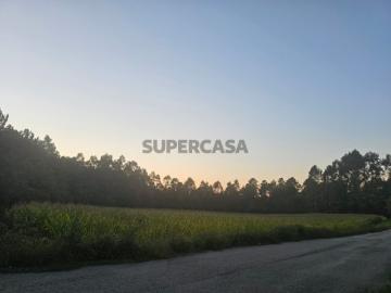 Terreno com PIP aprovado para construção em Santa Maria da Feira