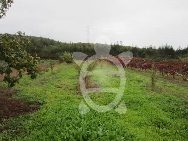Terreno com poço no Paião