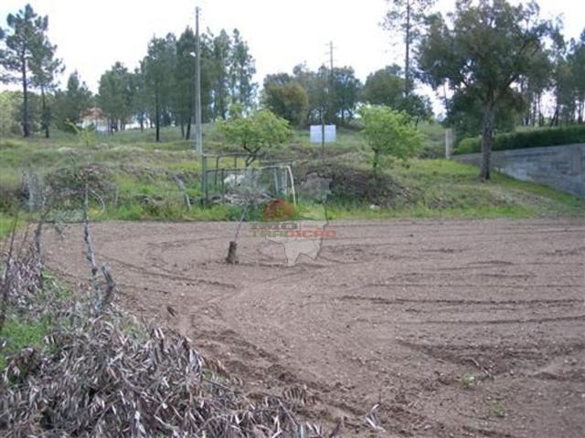 Terreno com Poço em Vale de Boais