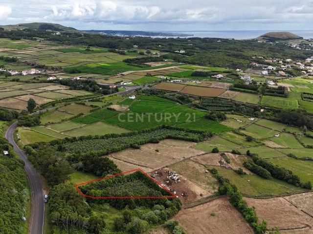 Terreno com Pomar em Vila de São Sebastião
