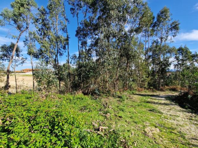 Terreno com possibilidade de construção de 2 moradias isoladas