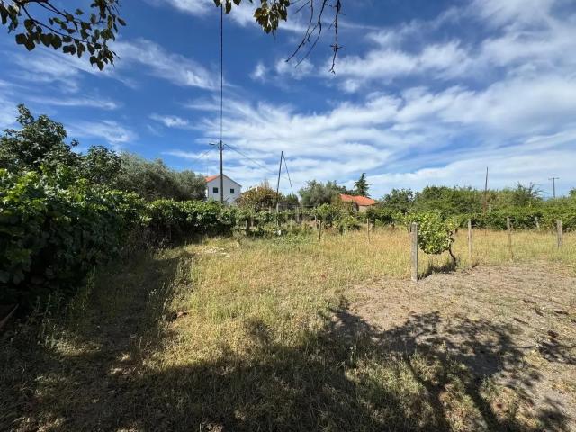 Terreno com possibilidade de construção em Aldeia do Bispo, Penamacor Oportunidade Única