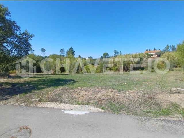 Terreno com possibilidade de construção perto de S. Pedro de Tomar