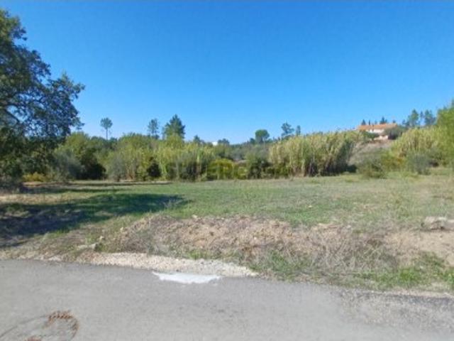 Terreno com possibilidade de construção perto de S. Pedro de Tomar