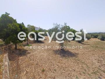 Terreno com possibilidade de construção perto do Entroncamento
