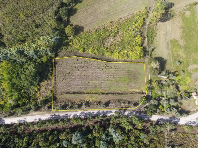 Terreno com possibilidade de construção Reguengo