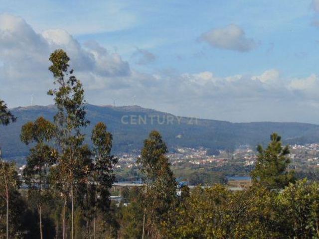 Terreno com possibilidade de 20 lotes para construção!
