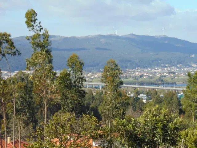Terreno com possibilidade de 20 lotes para construção!