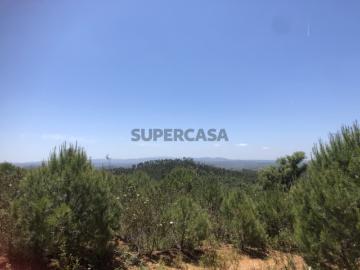 São Salvador e Santa Maria, Odemira, Distrito de Beja