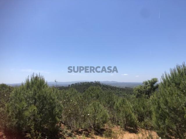 Terreno com potencial