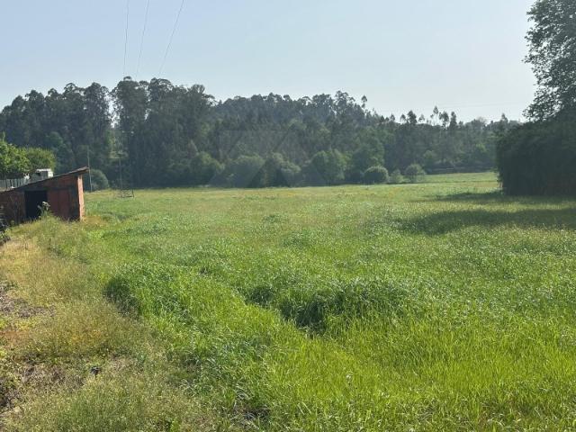 TERRENO COM POTENCIAL CONSTRUTIVO FREIXO, PONTE DE LIMA