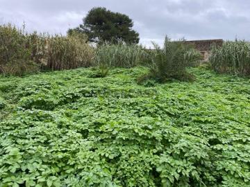 Terreno com Potencial Construtivo para Habitação até 4.000 m2. Ajuda, Lisboa