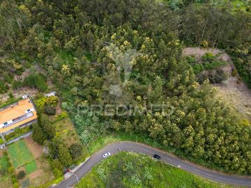 Terreno com Potencial de Construção em Ambiente Natural Único – Santo António da Serra, ilha Madeira