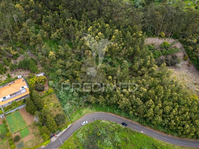 Terreno com Potencial de Construção em Ambiente Natural Único – Santo António da Serra, ilha Madeira