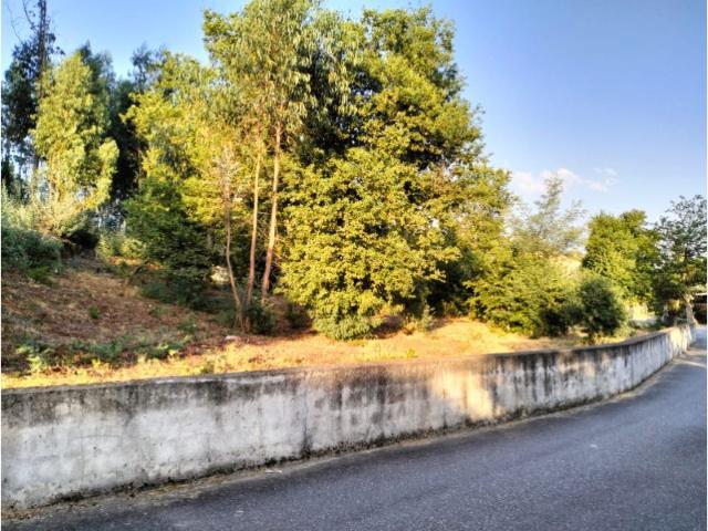 Terreno com potencial de construção