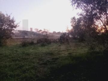 Terreno com Potencial de Construção 3.110 m² Soure