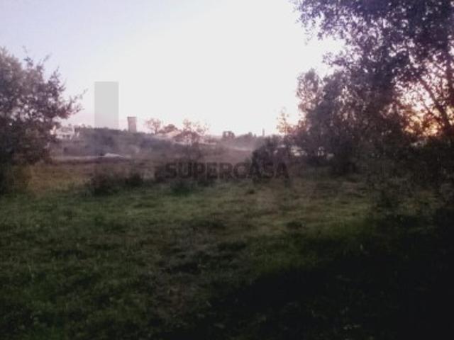 Terreno com Potencial de Construção 3.110 m² Soure