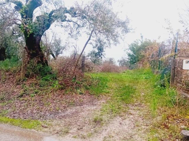 Terreno com Potencial de Construção – 3.330 m² – Soure
