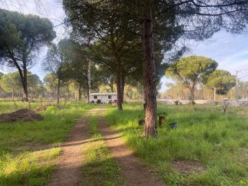 Terreno com Potencial no Interior da Comporta – Terreno Urbano de 2000m² com Bungalow Existente