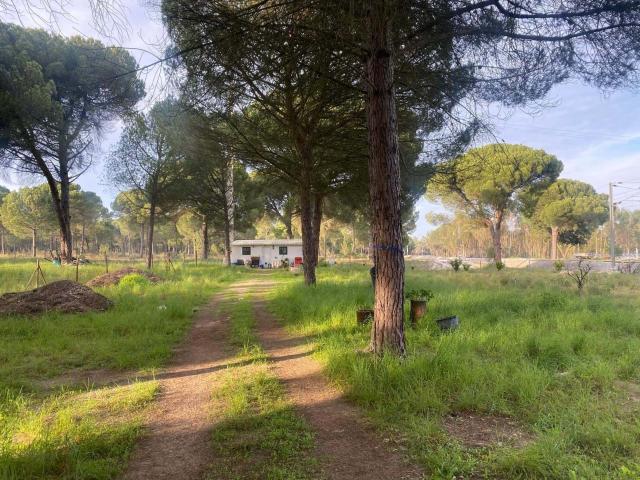 Terreno com Potencial no Interior da Comporta – Terreno Urbano de 2000m² com Bungalow Existente