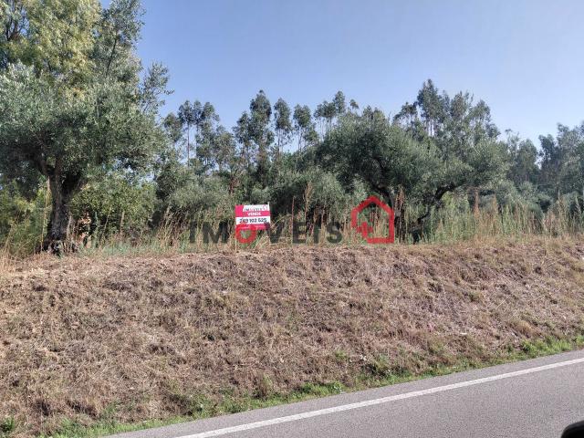 TERRENO COM POTENCIAL PARA VÁRIAS MORADIAS!