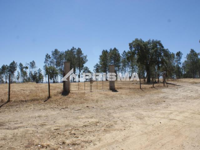 terreno com potencial para a sua quinta de sonho