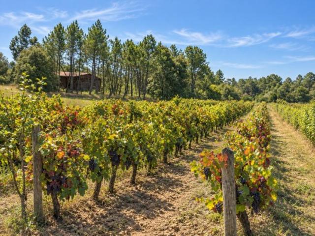 Terreno com potencial urbanístico Alfarelos, Soure