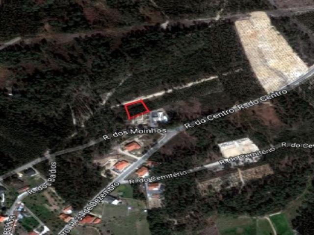 Terreno Com plantação de eucaliptos e pinheiros Ourém