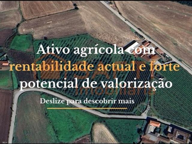 Terreno para investimento com rentabilidade +9%