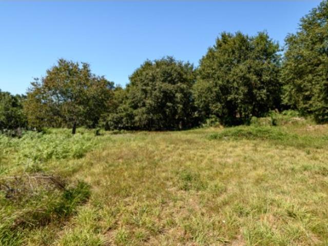 Terreno com projecto aprovado em Vilar de Mouros