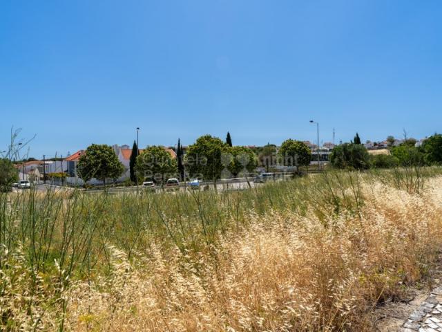 Terreno com projecto aprovado em Cascais