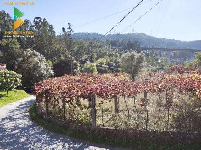 Terreno com projecto aprovado, moradia T3
