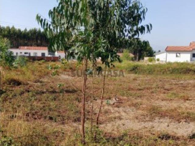 Terreno com projecto aprovado, no Cidral, em Rio Maior