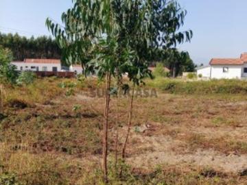 Terreno com projecto aprovado, no Cidral, em Rio Maior
