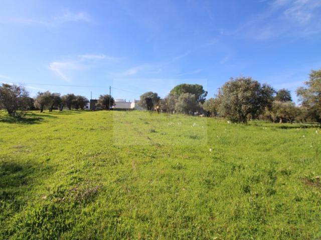 Terreno com projecto aprovado para construção de 2 moradias geminadas