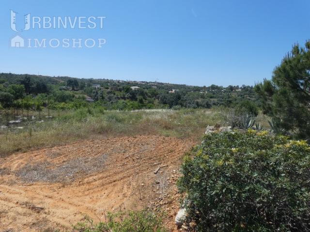Terreno com projecto aprovado para turismo em espaço rural
