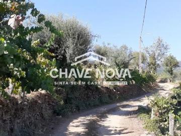 Terreno com projecto para construção de Moradia Castelo de Paiva