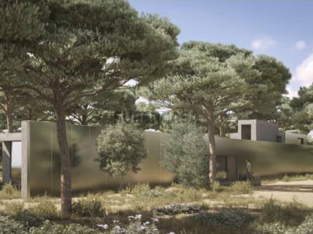Terreno com projeto aprovado, Muda