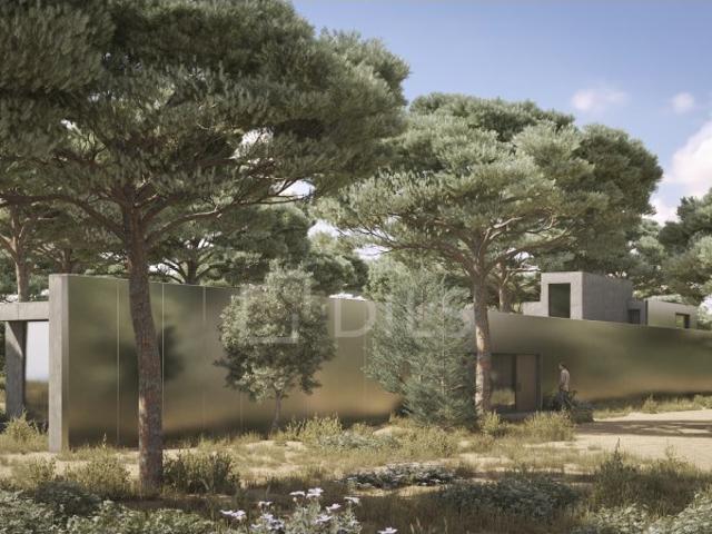Terreno com projeto aprovado, Muda