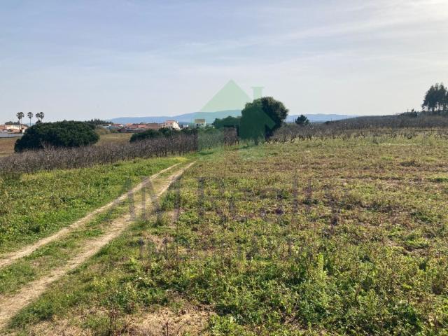 TERRENO COM PROJETO APROVADO | Moita dos Ferreiros