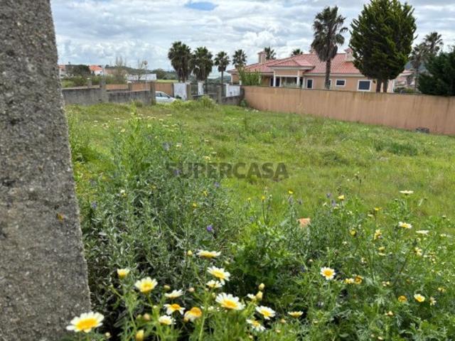 Terreno com projeto aprovado Moradia T5