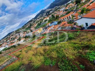 Terreno com projeto aprovado em Santo António