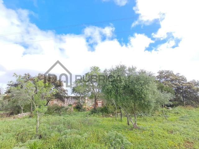 Terreno com Projeto Aprovado Loulé 2173 m² | Vista Campo | Projeto para Moradia Térrea T3+1