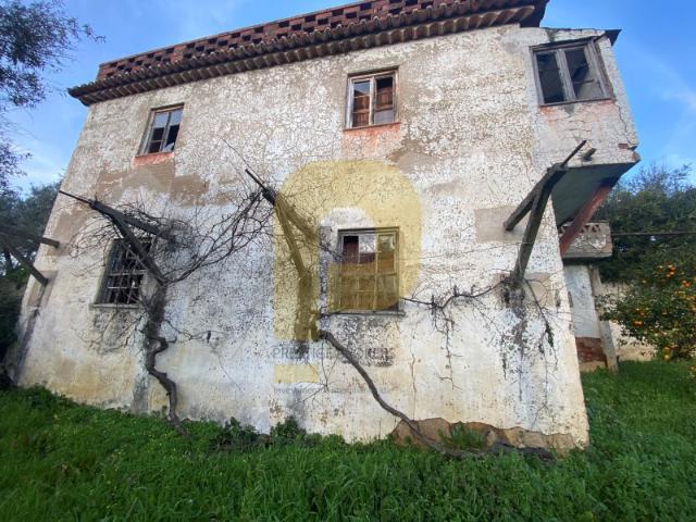 Terreno com Projeto Aprovado para Casa Passiva em Castelo de Vide | 7.000 m²