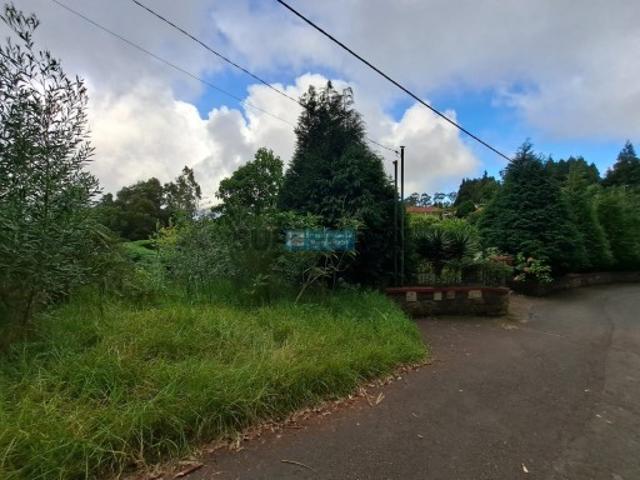 Terreno com Projeto Aprovado para Armazém Agrícola Excelente Localização
