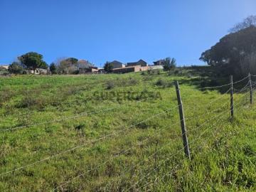 TERRENO COM PROJETO APROVADO PERTO DE CALDAS DA RAINHA
